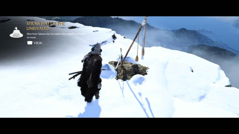 When should we fight Takezo the unrivaled